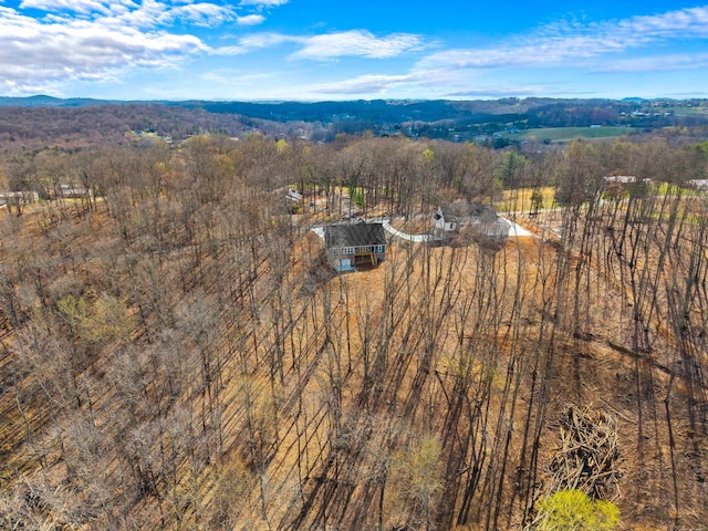 aerial view with a forest view