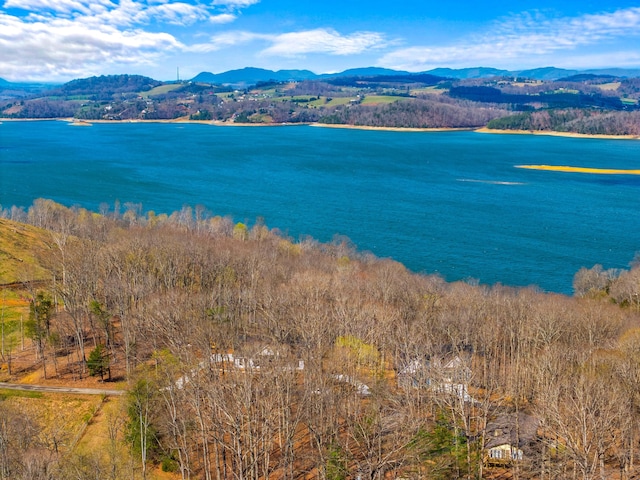 water view with a mountain view