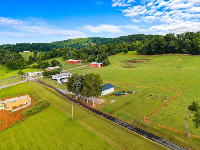 2950 Boatmans Mountain Rd, Morristown, TN 37814 - photo 50