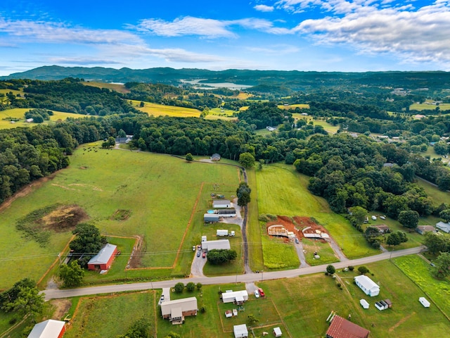 2950 Boatmans Mountain Rd, Morristown, TN 37814 - photo 11