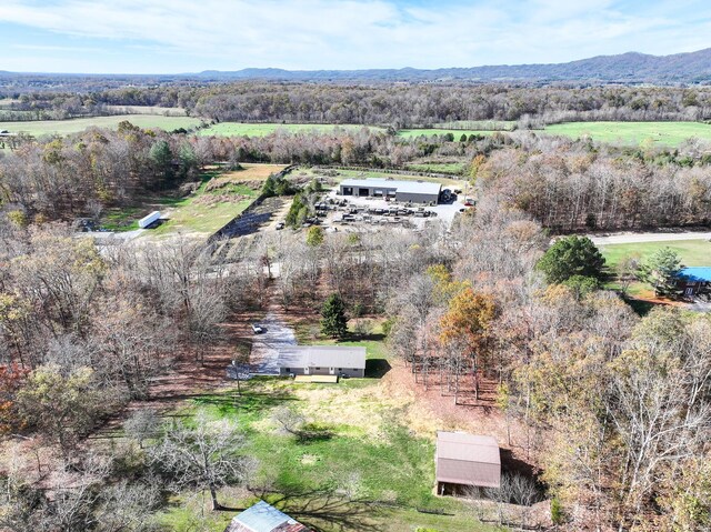 11050 Baileyton Rd, Greeneville, TN 37745 - photo 75