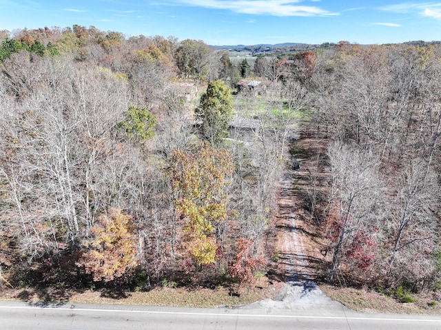 11050 Baileyton Rd, Greeneville, TN 37745 - photo 80