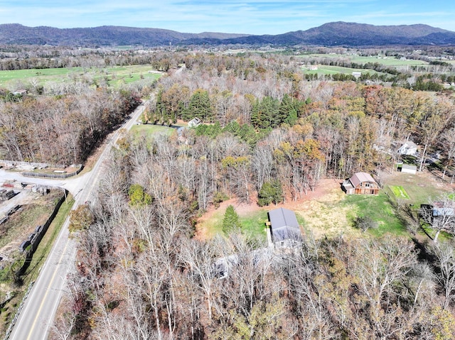 11050 Baileyton Rd, Greeneville, TN 37745 - photo 77