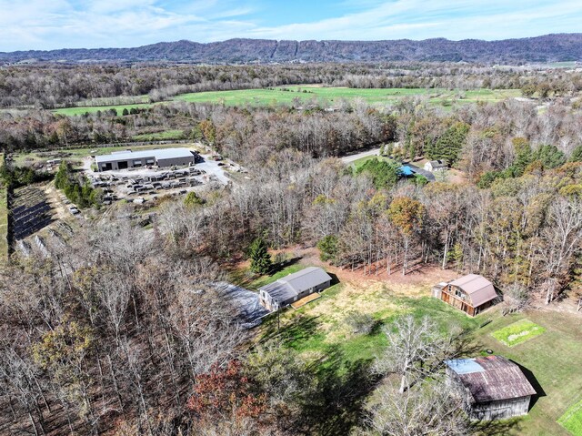 11050 Baileyton Rd, Greeneville, TN 37745 - photo 76