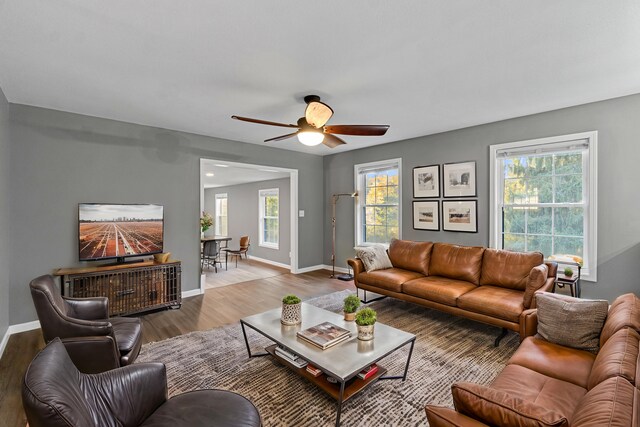 11050 Baileyton Rd, Greeneville, TN 37745 - photo 9