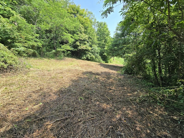 TBD Poor Valley Rd, Rogersville, TN 37857
