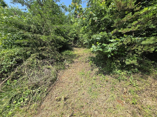 TBD Poor Valley Rd, Rogersville, TN 37857