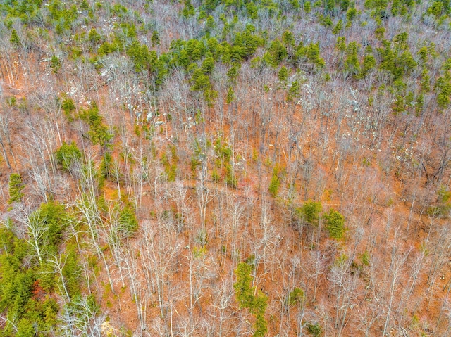 TBD Poor Valley Rd, Rogersville, TN 37857