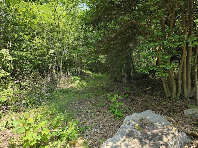 TBD Poor Valley Rd, Rogersville, TN 37857