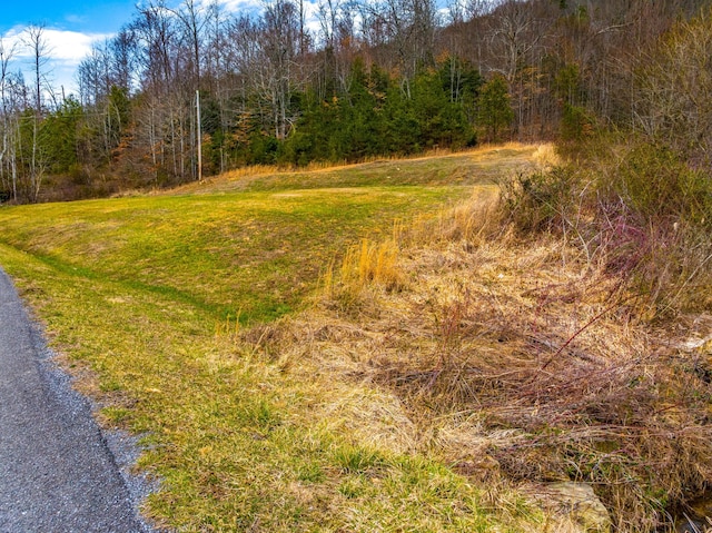 Listing photo 3 for TBD Poor Valley Rd, Rogersville TN 37857