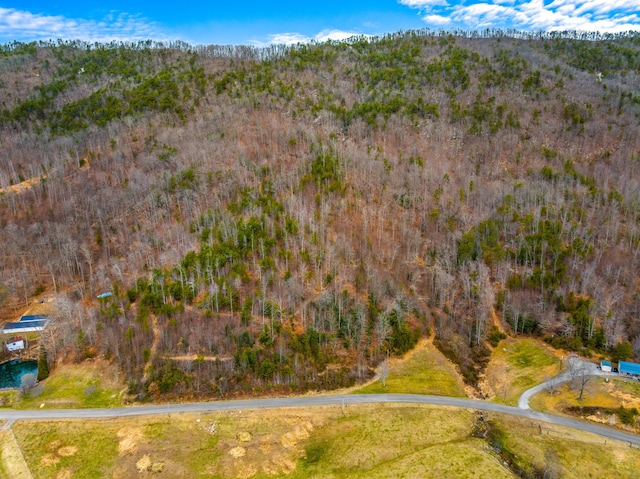 TBD Poor Valley Rd, Rogersville, TN 37857