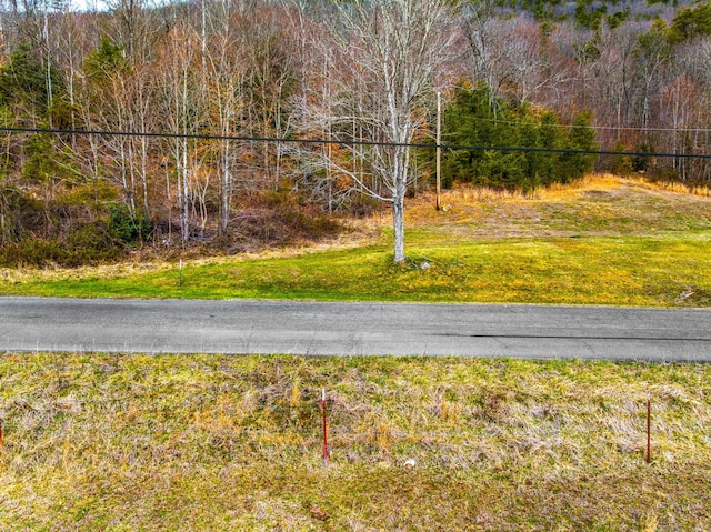 TBD Poor Valley Rd, Rogersville, TN 37857