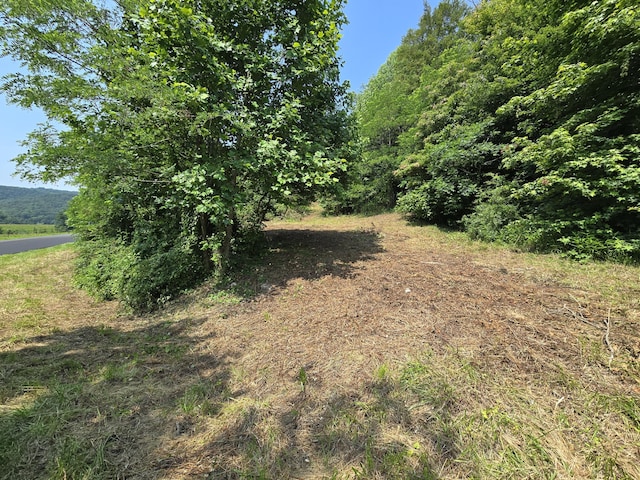 TBD Poor Valley Rd, Rogersville, TN 37857