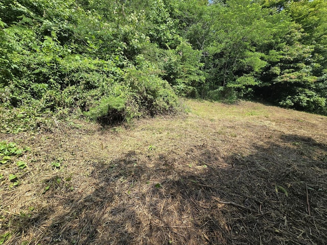 TBD Poor Valley Rd, Rogersville, TN 37857