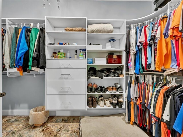 view of spacious closet