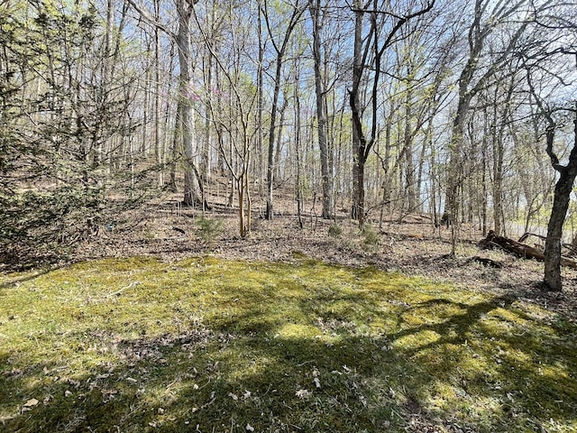 213 Big Springs Rd, Rogersville, TN 37857 - photo 20