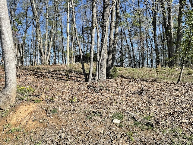 213 Big Springs Rd, Rogersville, TN 37857 - photo 23