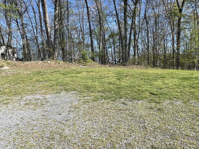213 Big Springs Rd, Rogersville, TN 37857 - photo 22