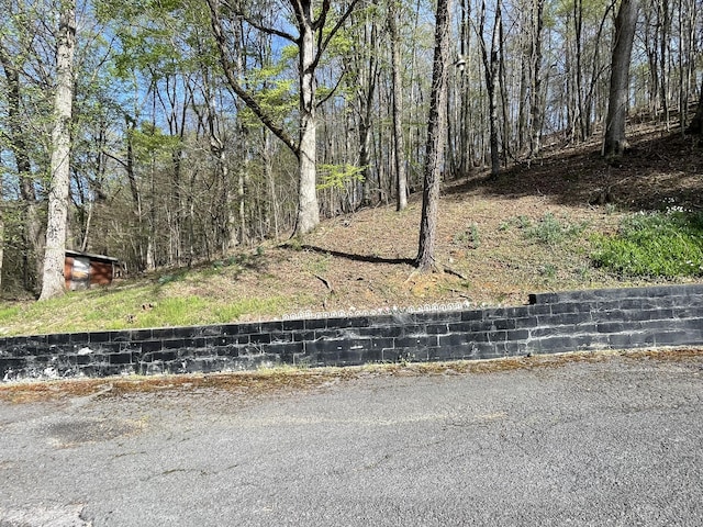 213 Big Springs Rd, Rogersville, TN 37857 - photo 19