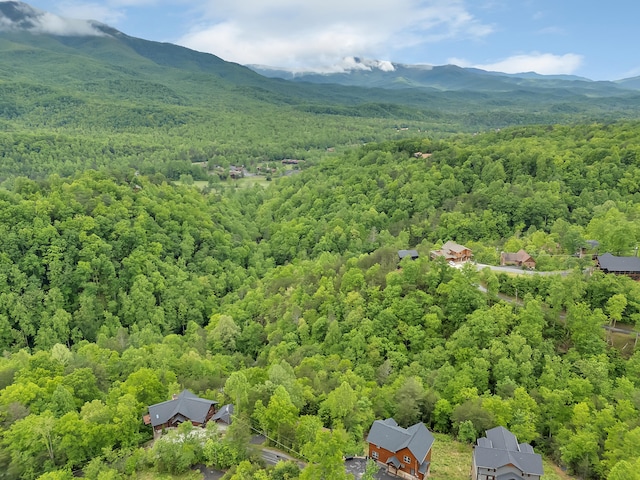 drone / aerial view of a heavily wooded area and a mountainous background