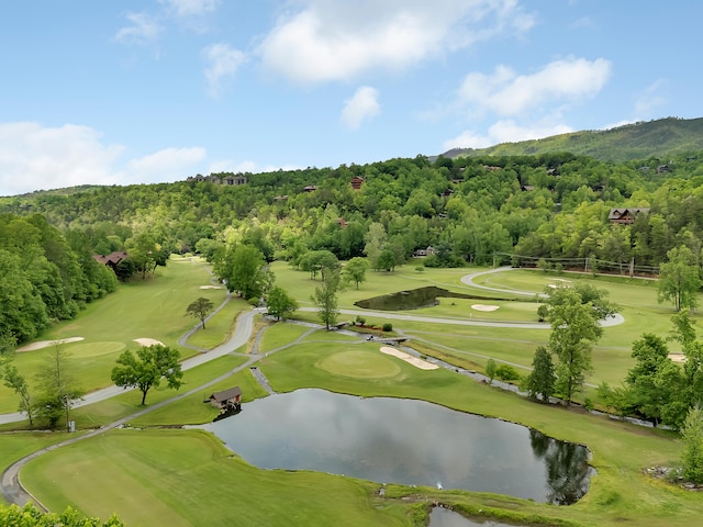 aerial view of a forest, a nearby body of water, and a local golf course