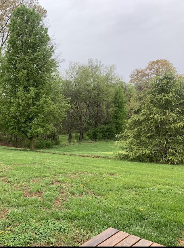 view of yard