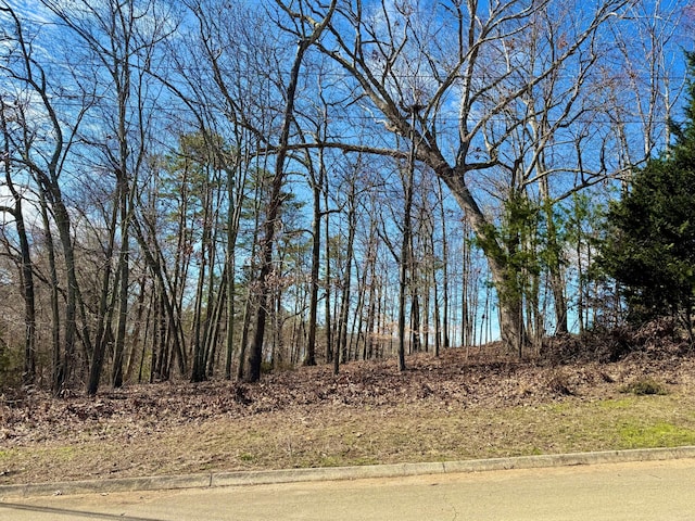 LOT37 Lake Vista Dr, Baneberry TN, 37890 land for sale