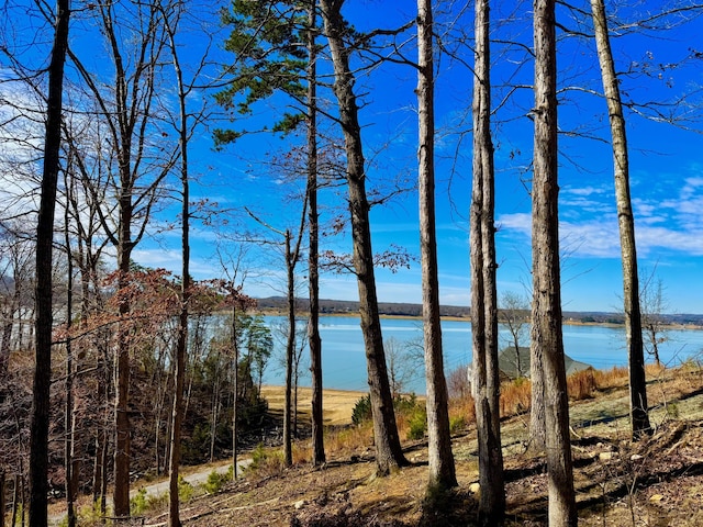 Listing photo 2 for LOT37 Lake Vista Dr, Baneberry TN 37890