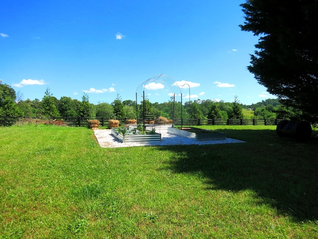 5534 Carlyle Ave, Russellville, TN 37860 - view of yard with a vegetable garden