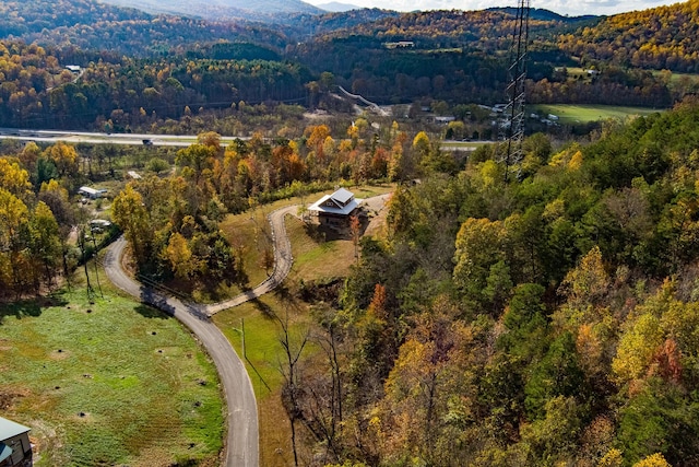 bird's eye view with a mountain view