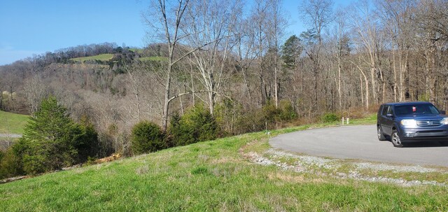 LOT2 Smokey Quartz Blvd, New Tazewell, TN 37825 - photo 34