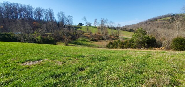LOT2 Smokey Quartz Blvd, New Tazewell, TN 37825 - photo 37