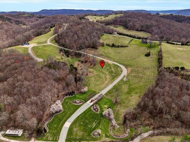 LOT2 Smokey Quartz Blvd, New Tazewell, TN 37825 - photo 14