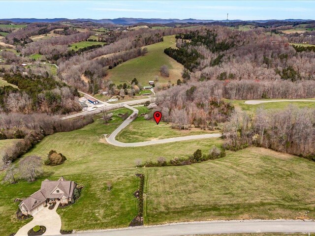 LOT2 Smokey Quartz Blvd, New Tazewell, TN 37825 - photo 18
