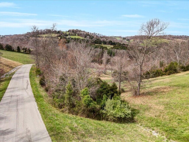 LOT2 Smokey Quartz Blvd, New Tazewell, TN 37825 - photo 10