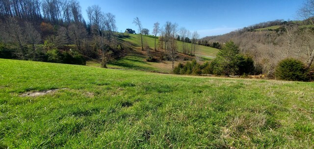LOT2 Smokey Quartz Blvd, New Tazewell, TN 37825 - photo 42
