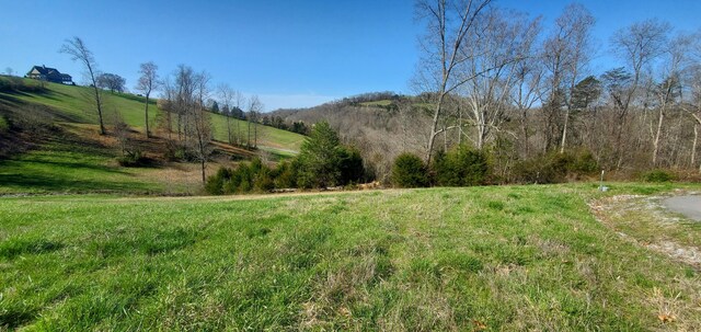 LOT2 Smokey Quartz Blvd, New Tazewell, TN 37825 - photo 41
