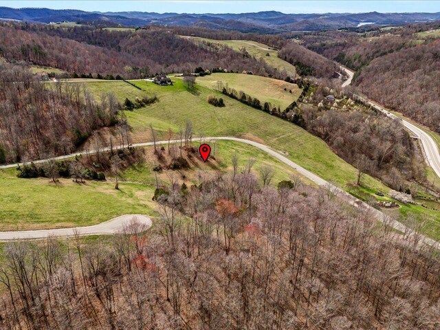 LOT2 Smokey Quartz Blvd, New Tazewell, TN 37825 - photo 21