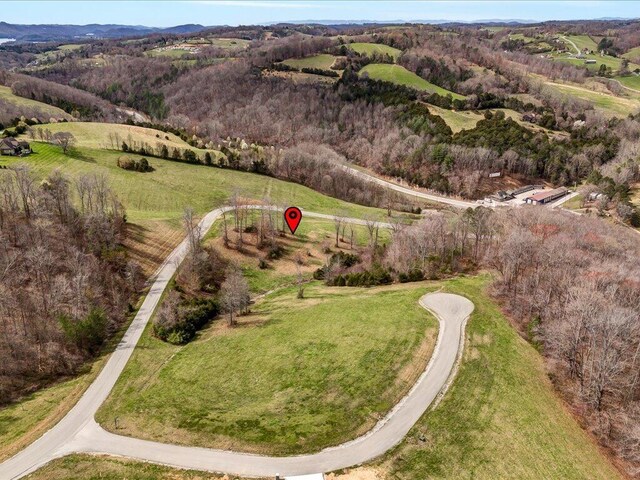LOT2 Smokey Quartz Blvd, New Tazewell, TN 37825 - photo 20