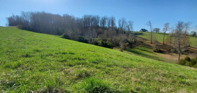 LOT2 Smokey Quartz Blvd, New Tazewell, TN 37825 - photo 43
