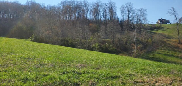 LOT2 Smokey Quartz Blvd, New Tazewell, TN 37825 - photo 29
