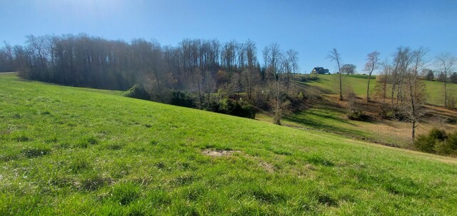 LOT2 Smokey Quartz Blvd, New Tazewell, TN 37825 - photo 38