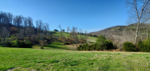 LOT2 Smokey Quartz Blvd, New Tazewell, TN 37825 - photo 39