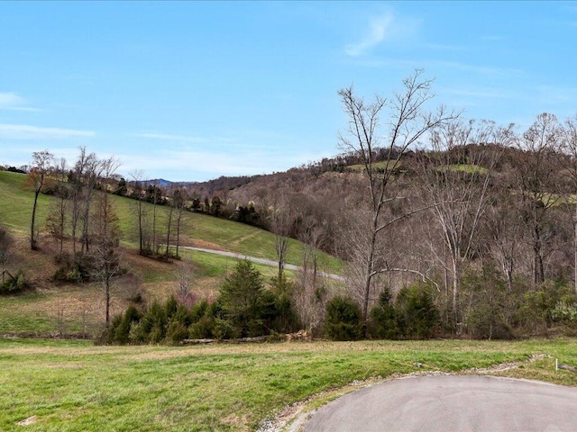 LOT2 Smokey Quartz Blvd, New Tazewell, TN 37825 - photo 9