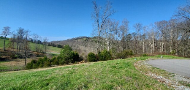 LOT2 Smokey Quartz Blvd, New Tazewell, TN 37825 - photo 40