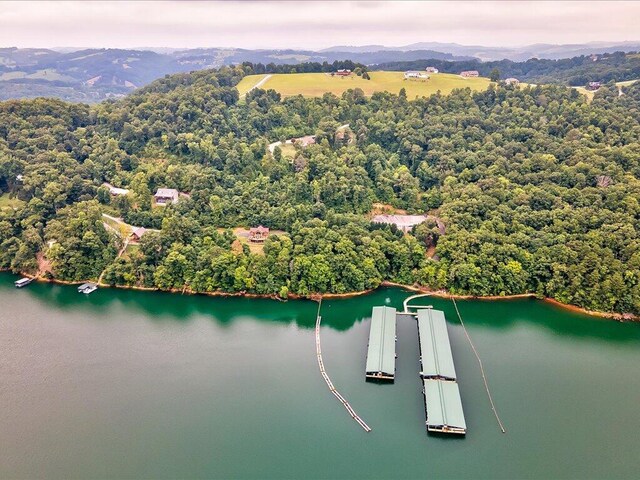 LOT2 Smokey Quartz Blvd, New Tazewell, TN 37825 - photo 27
