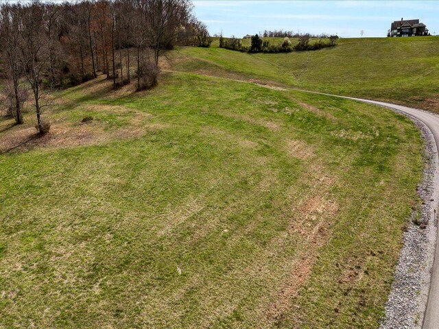LOT2 Smokey Quartz Blvd, New Tazewell, TN 37825 - photo 4