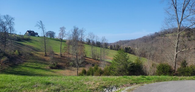 LOT2 Smokey Quartz Blvd, New Tazewell, TN 37825 - photo 31