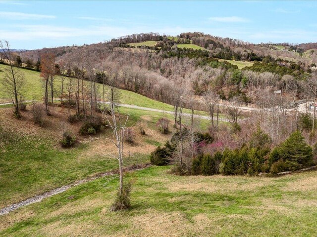 LOT2 Smokey Quartz Blvd, New Tazewell, TN 37825 - photo 7