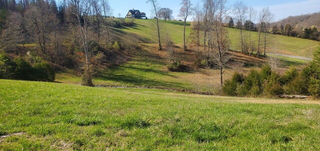 LOT2 Smokey Quartz Blvd, New Tazewell, TN 37825 - photo 36